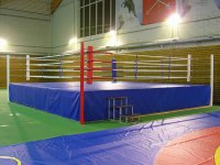 phoca_thumb_l_ring_prof_2
